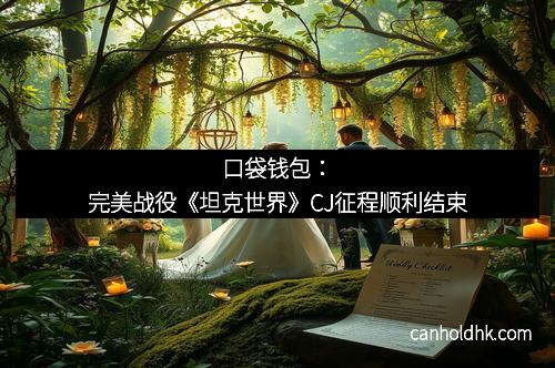 口袋钱包：完美战役《坦克世界》CJ征程顺利结束